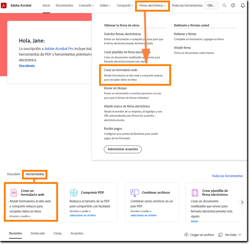 Seleccione Criar um formulário da Web.