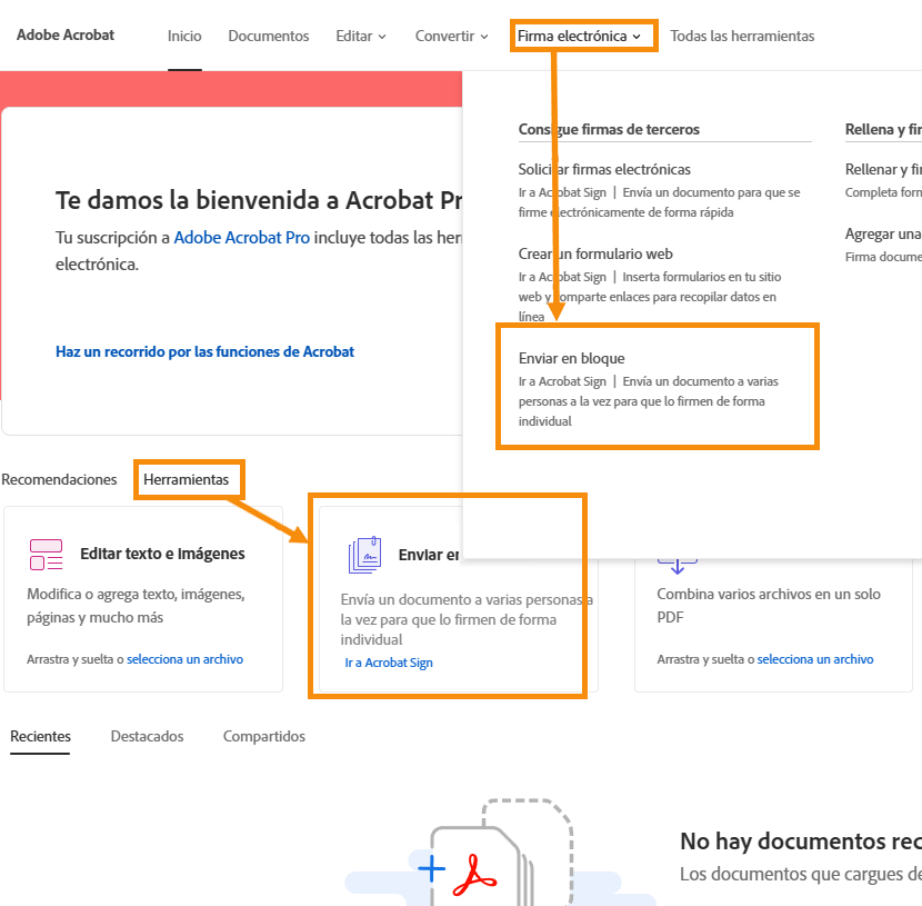 Opciones de la herramienta Enviar en bloque