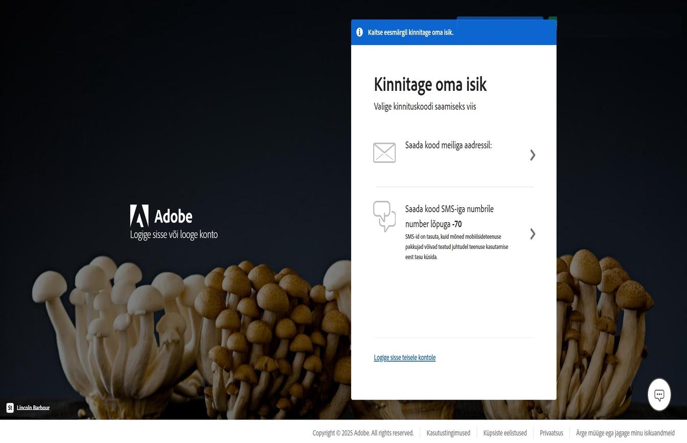 Aken Kinnitage oma isik, kus on esiletõstetud valik Saada kood numbrile, et saata kood teie registreeritud telefoninumbrile.