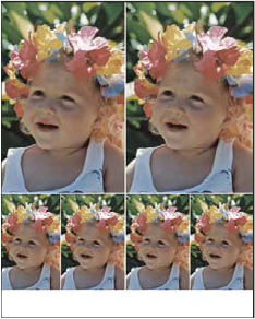 Picture package layout Photoshop Picture package layout