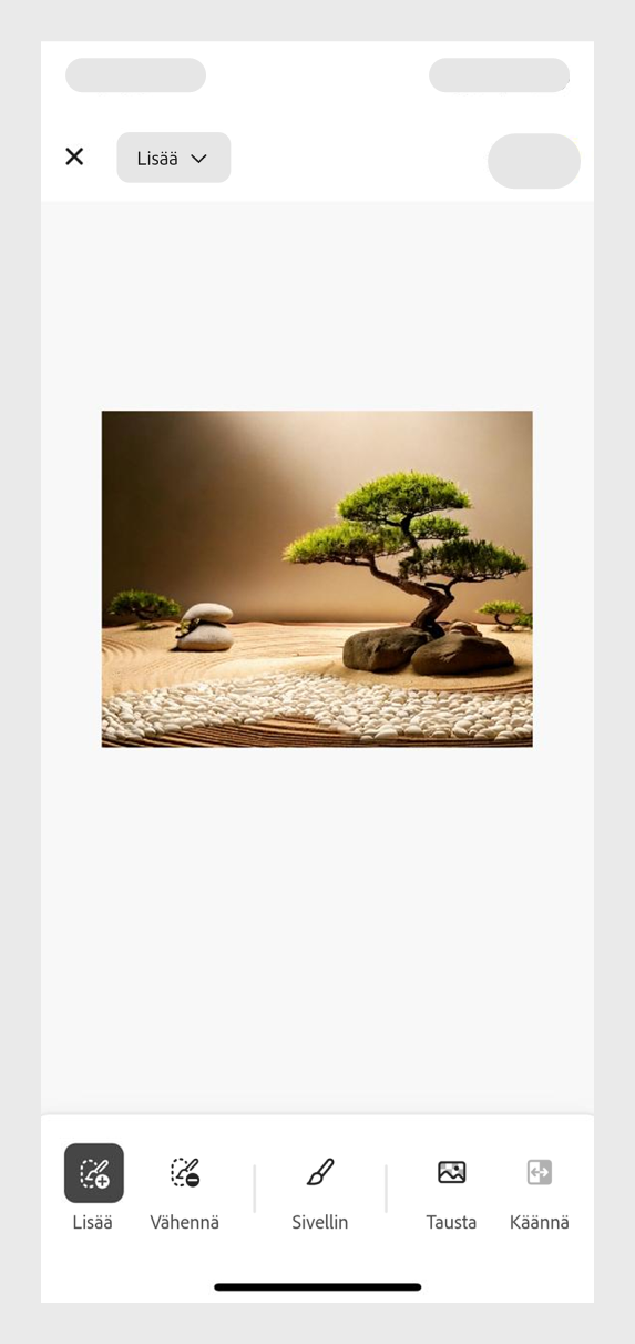Minimalistinen Zen-puutarha, jossa on hiekkaa, bonsai-puita ja mukulakivinen polku.