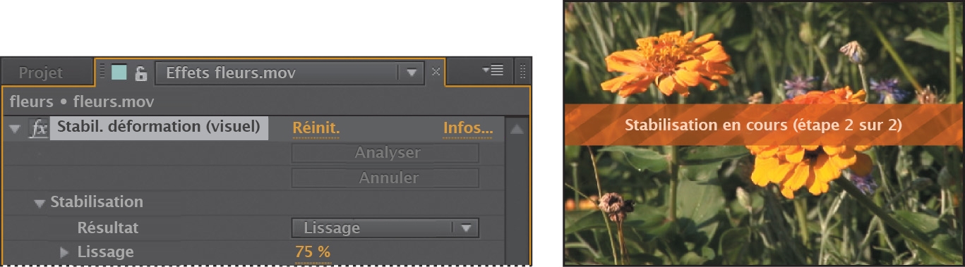 Gauche : paramètres de stabilisation de déformation VFX. Droite : stabilisation de l’image de fleurs.