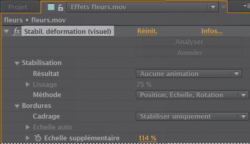 Le panneau Options d’effet présente les options de stabilisation de déformation VFX. L’échelle est définie sur 114 %.