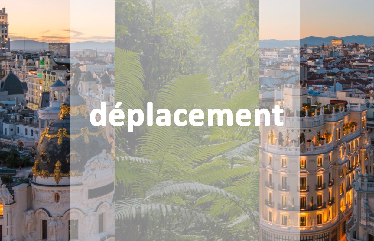 composition-basics-02-ae