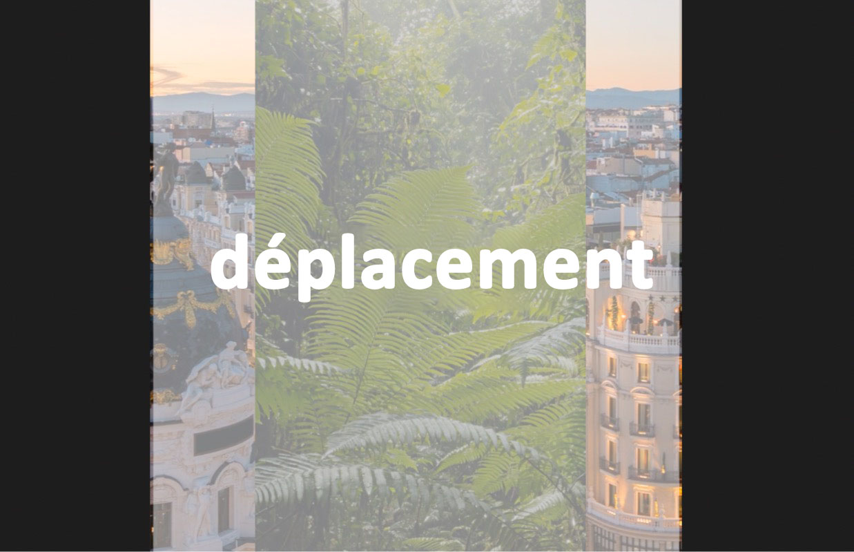 composition-basics-03-ae