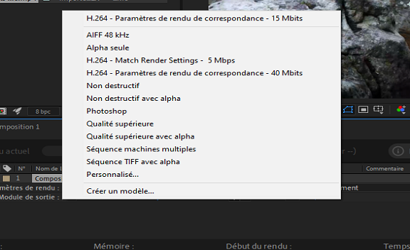Préréglages du module de sortie H.264