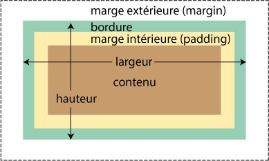 La marge d'un élément n'est pas incluse dans sa largeur et sa hauteur.