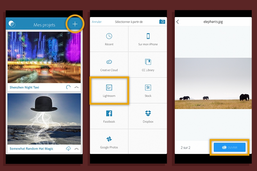 Interface de Lightroom avec des boutons mis en évidence : Signe Plus > Sélectionner à partir de > Ouvrir l'image nommée elephants.jpg