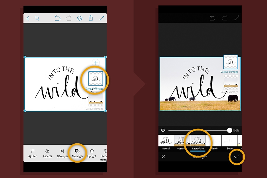 Calque de l'image avec l'option Mélanger sélectionnée (gauche) et mode de fusion Reproduire sélectionné (droite)