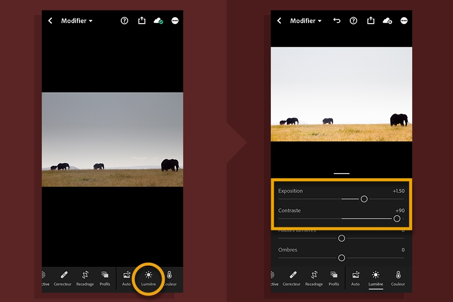 Le bouton Lumière est mis en évidence dans le panneau Modifier (gauche), et les curseurs Exposition et Contraste sont mis en évidence (droite)