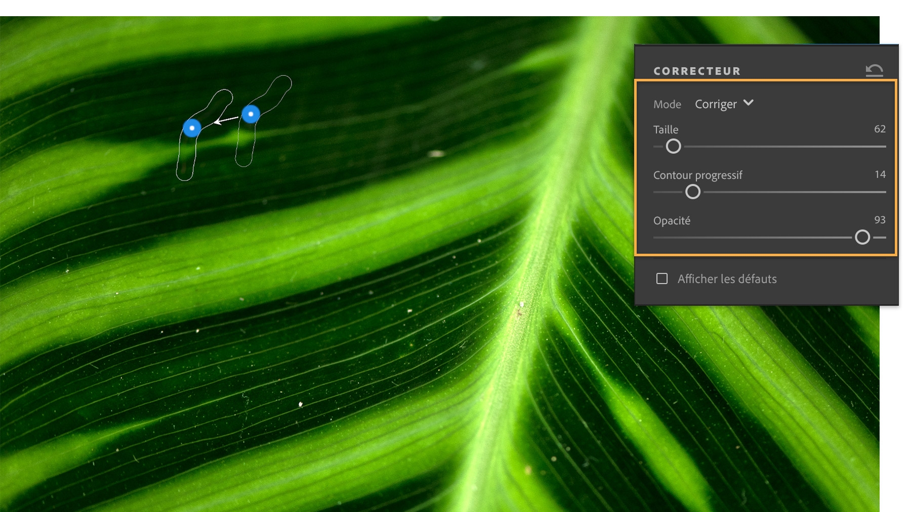 Réglez l’épaisseur de l'outil Correcteur en fonction des besoins. Faites glisser le pinceau sur les imperfections importantes ou cliquez pour supprimer les particules de poussière.