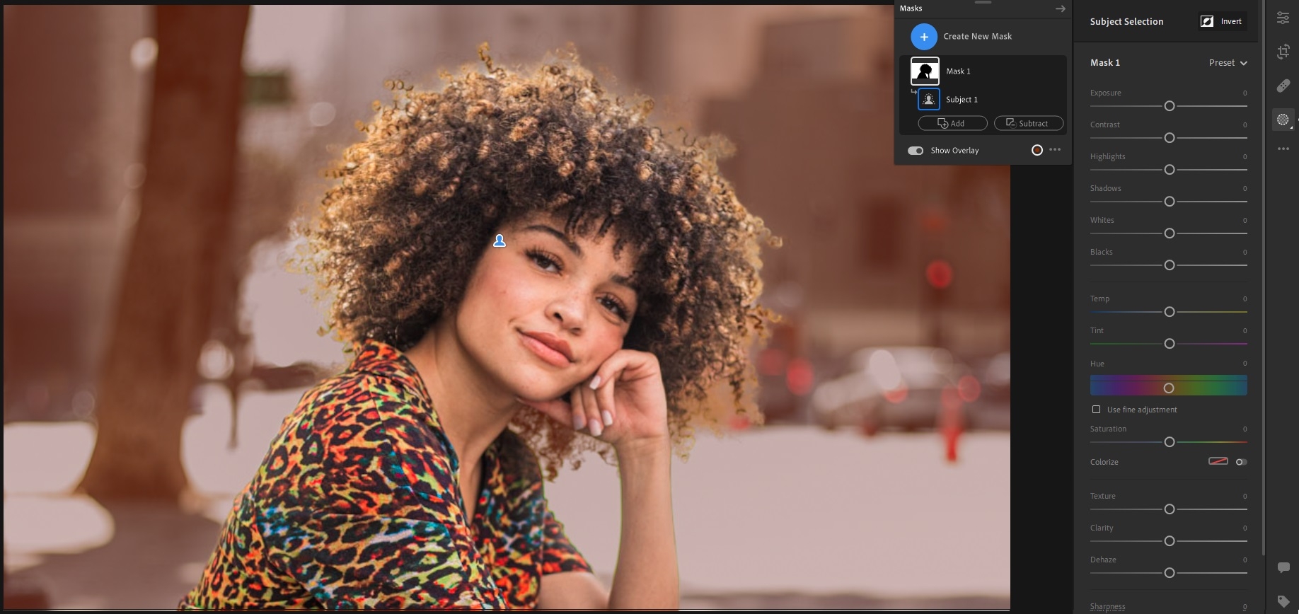 Cliquez sur Inverser pour sélectionner toutes les zones à l‘exception du sujet