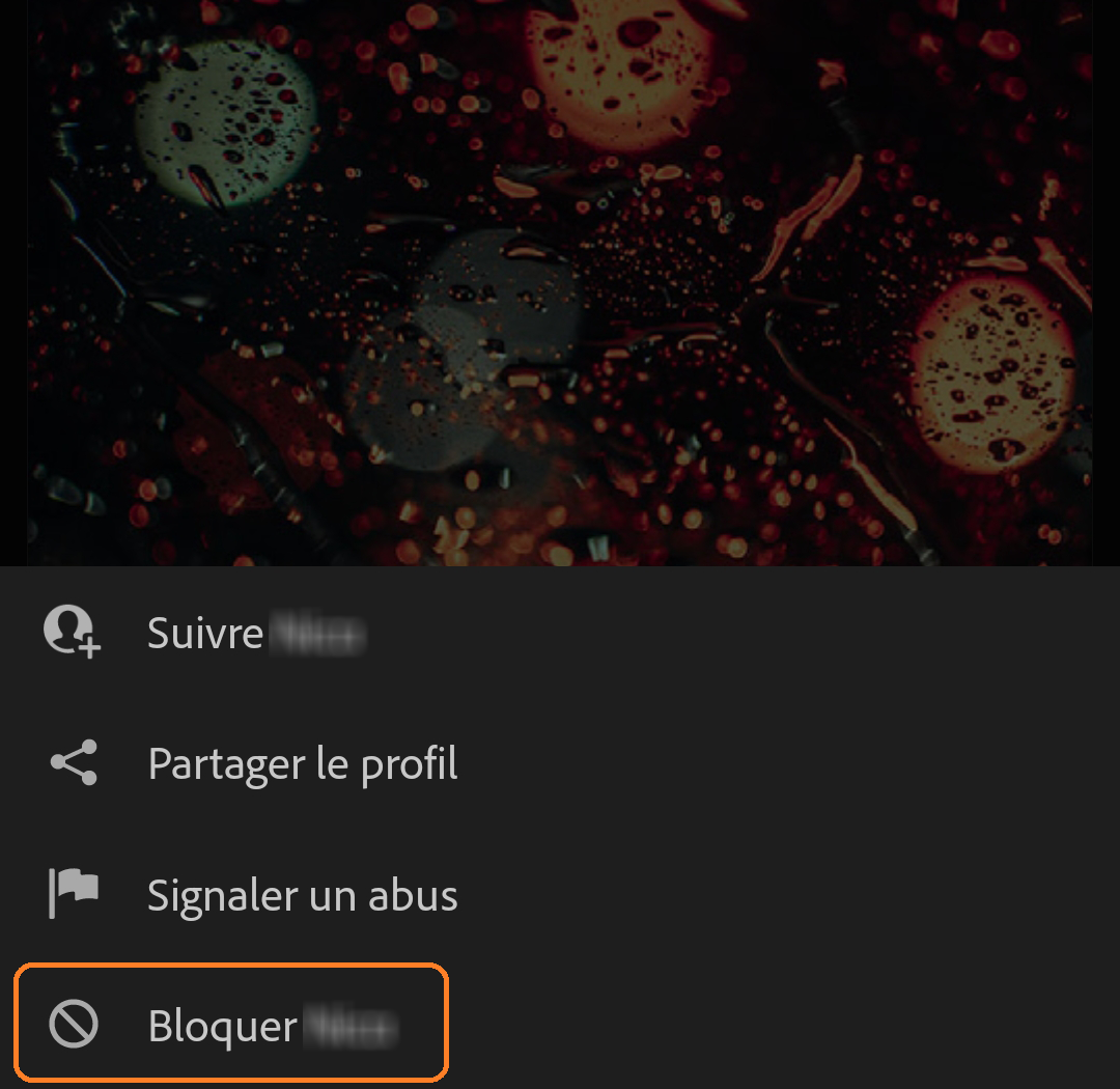 bloquer des auteurs