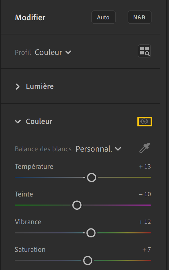 Cliquer sur l’icône en forme d’œil pour désactiver les paramètres de ce panneau
