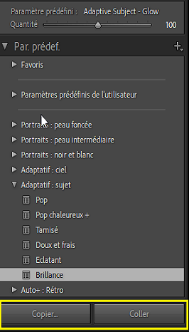 Modification par lot des paramètres prédéfinis de masquage