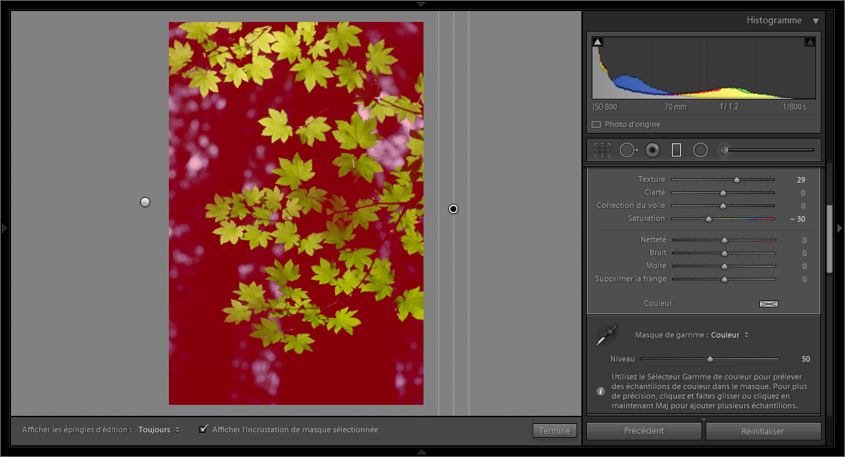 Un masque de gamme de couleur recouvrant les tonalités de fond dans la photo.