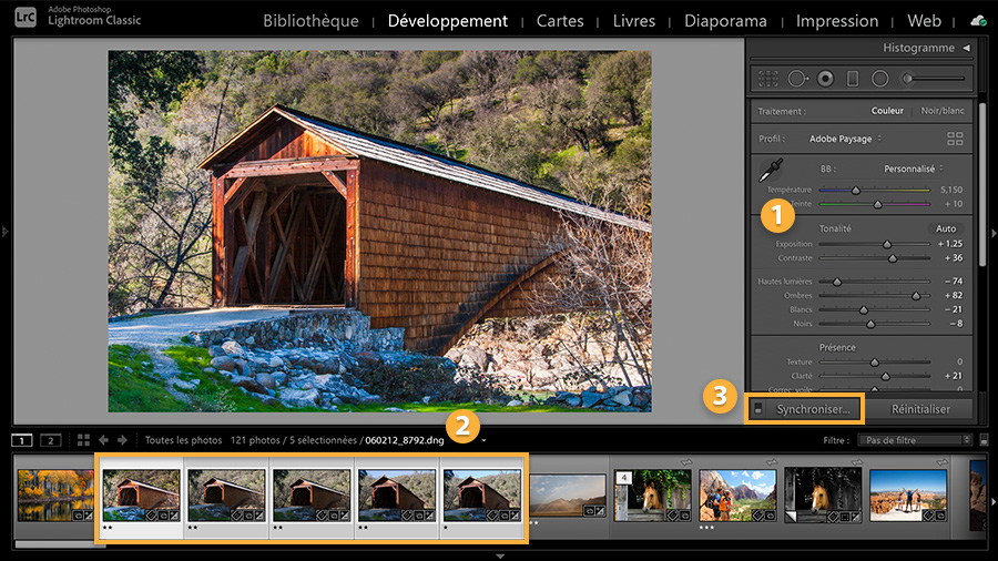 Lightroom - Trois outils incroyables pour accélérer la retouche de vos  photos sous-marines - Plonger et faire des photos