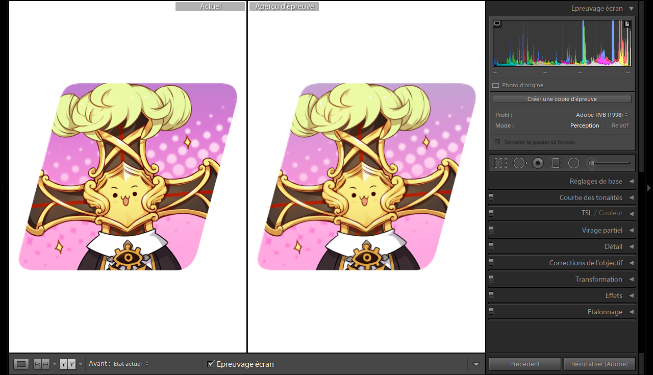 Vérification à l’écran