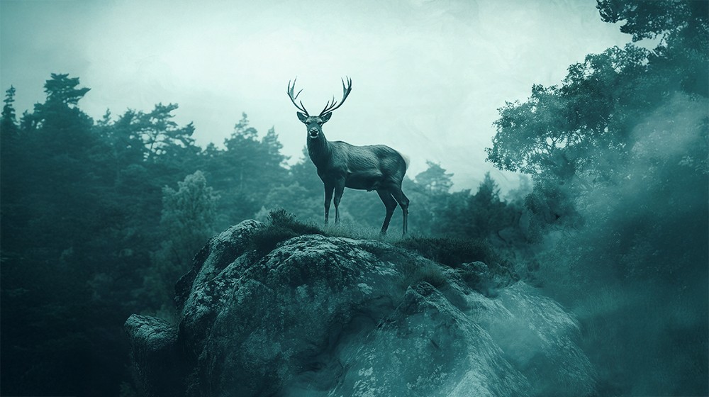 Ajouter une Ambiance Mystique sur une Photographie