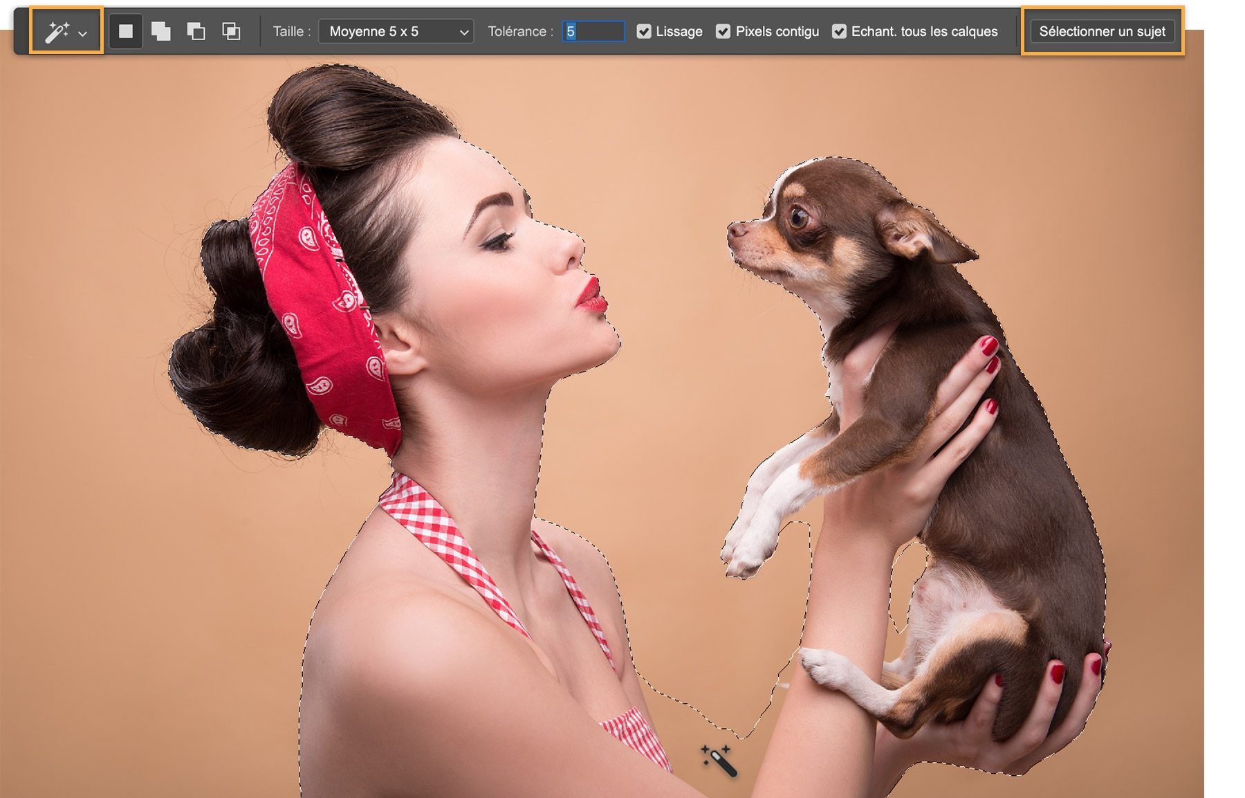 Femme tenant un chihuahua sur fond marron clair. La ligne pointillée délimite la sélection des sujets avec l’outil Baguette magique.