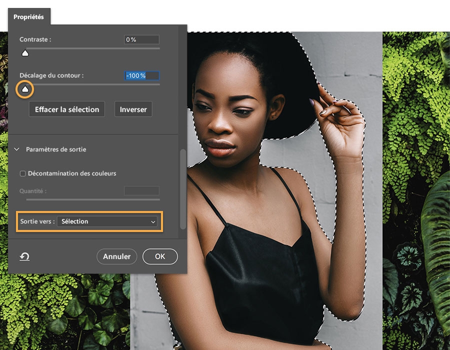 Utilisation du curseur Décalage du contour pour améliorer les contours et définition de la sortie sur Sélection