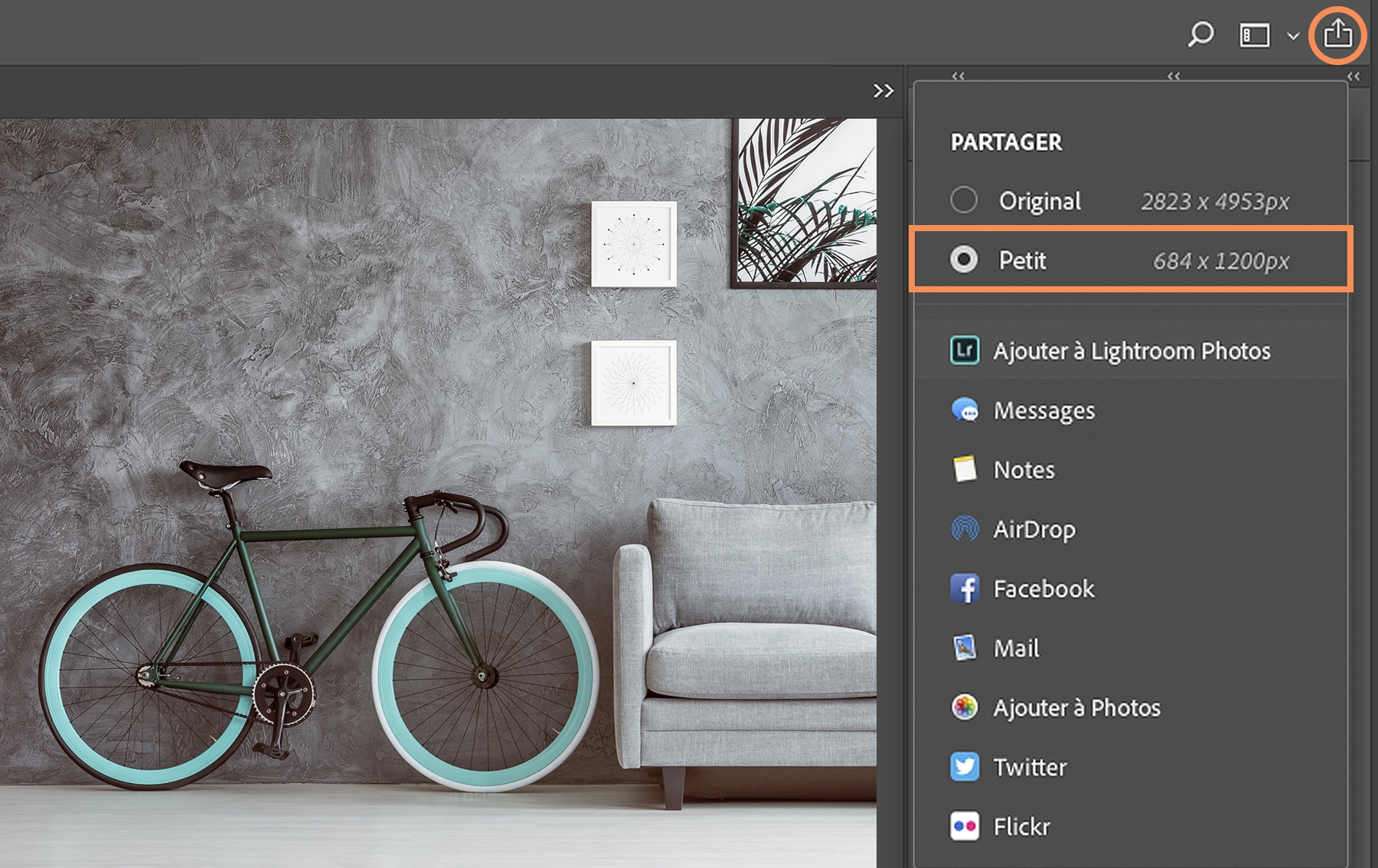 La boîte de dialogue de partage est ouverte sous macOS, l’option Petit est sélectionnée pour réduire la taille du fichier. Les plateformes de partage sont affichées sous forme de liste.