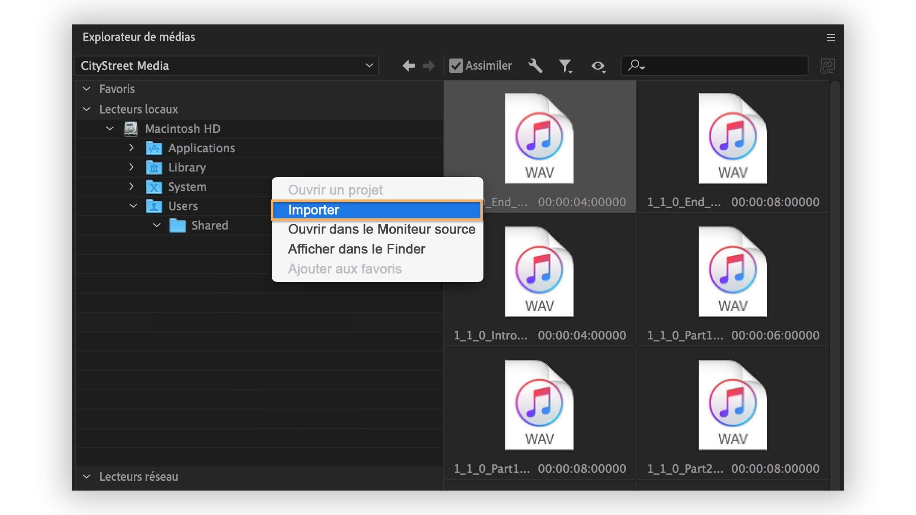 Des fichiers WAV sont importés et ajoutés dans le panneau Projet. La case Assimiler est cochée pour copier le fichier audio dans le dossier du projet.