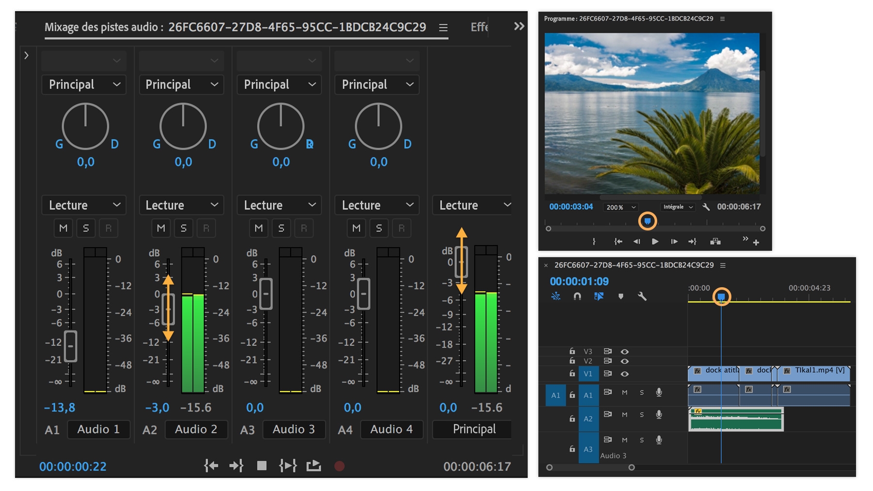 Le volume des pistes audio peut être modifié séparément dans le menu Fenêtre > Mixage des pistes audio.