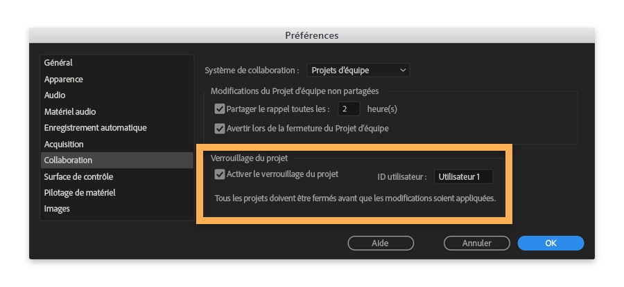 La fonction de verrouillage du projet doit être sélectionnée sous les préférences pour empêcher son écrasement accidentel.