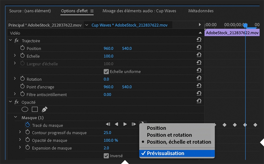 Le panneau Options d’effet est ouvert. Le tracé du masque est suivi pour vérifier qu’il suit l’intérieur de la tasse.