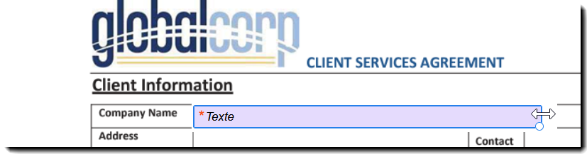 Ajustement de la taille du champ