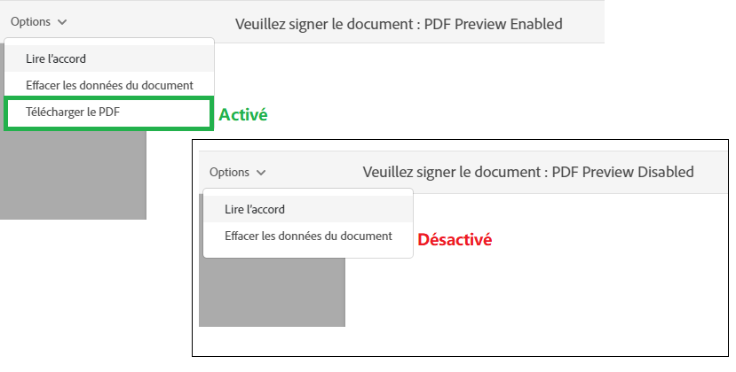 Autoriser l’aperçu PDF du formulaire web