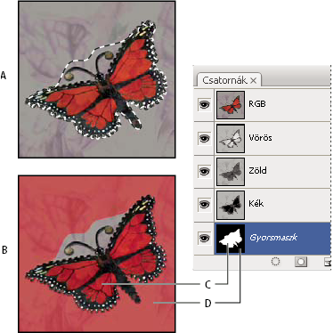 Photoshop – Normál mód és gyorsmaszk mód