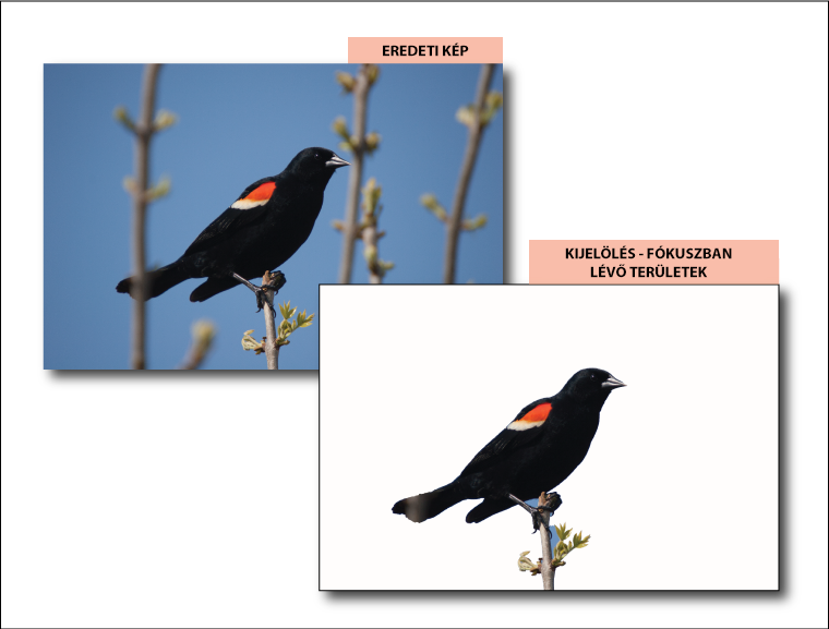 Photoshop – Fókuszterület kijelölése