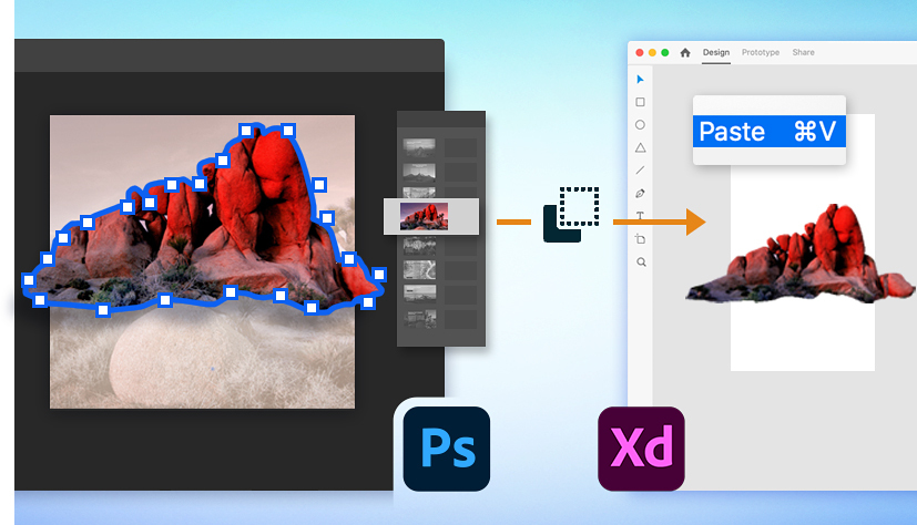 Learn how to copy and paste assets from Photoshop to XD