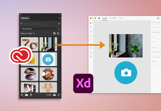 how to download assets from adobe xd