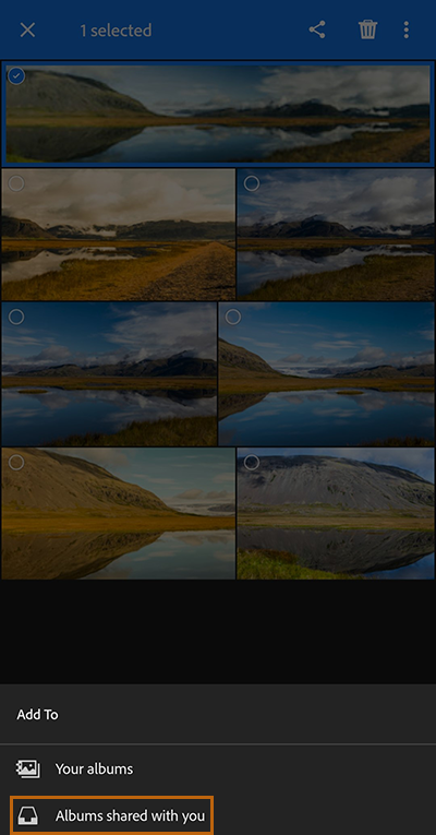 Scoprite Come Salvare Condividere Ed Esportare Le Foto Da Lightroom Per Dispositivi Mobili Android