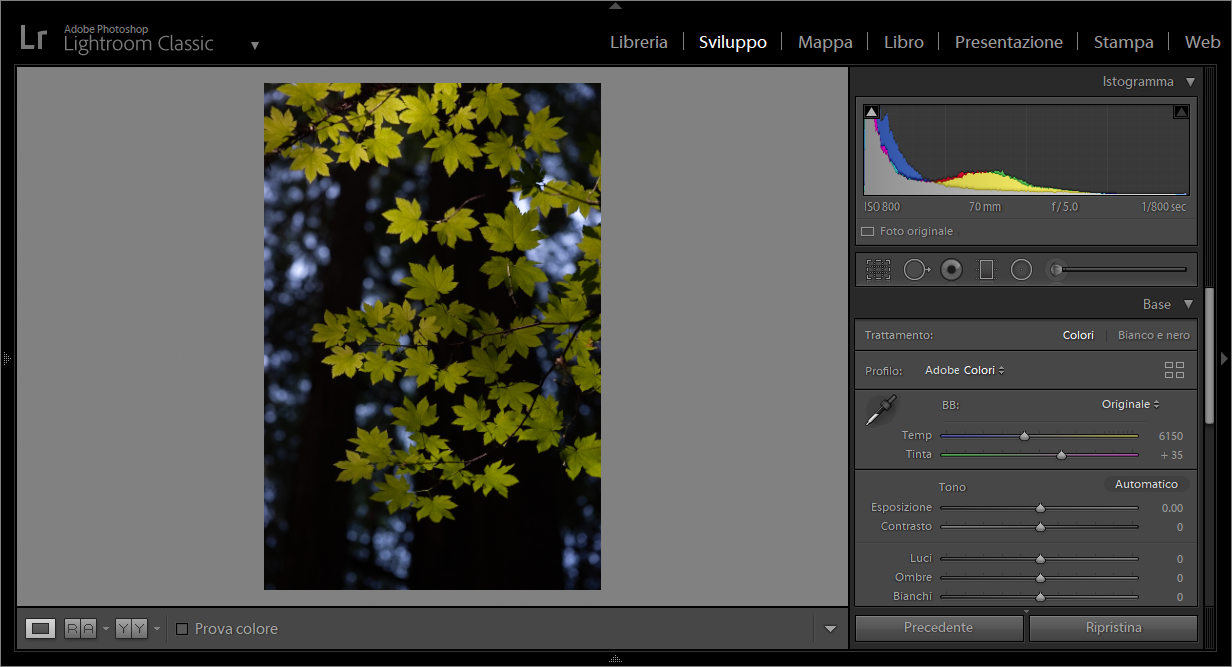 Come Applicare Regolazioni Locali Alle Foto In Base Alle Informazioni Sul Colore Sulla Luminanza E Sulla Profondità