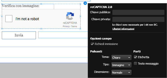 Impossibile Connettersi Con Recaptcha. Verifica La Connessione E Riprova