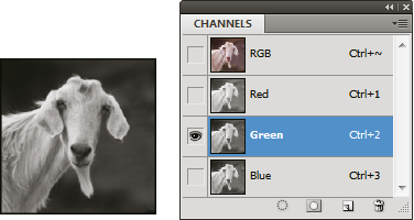 Regolare La Nitidezza Dell Immagine E La Sfocatura Con Lente In Photoshop