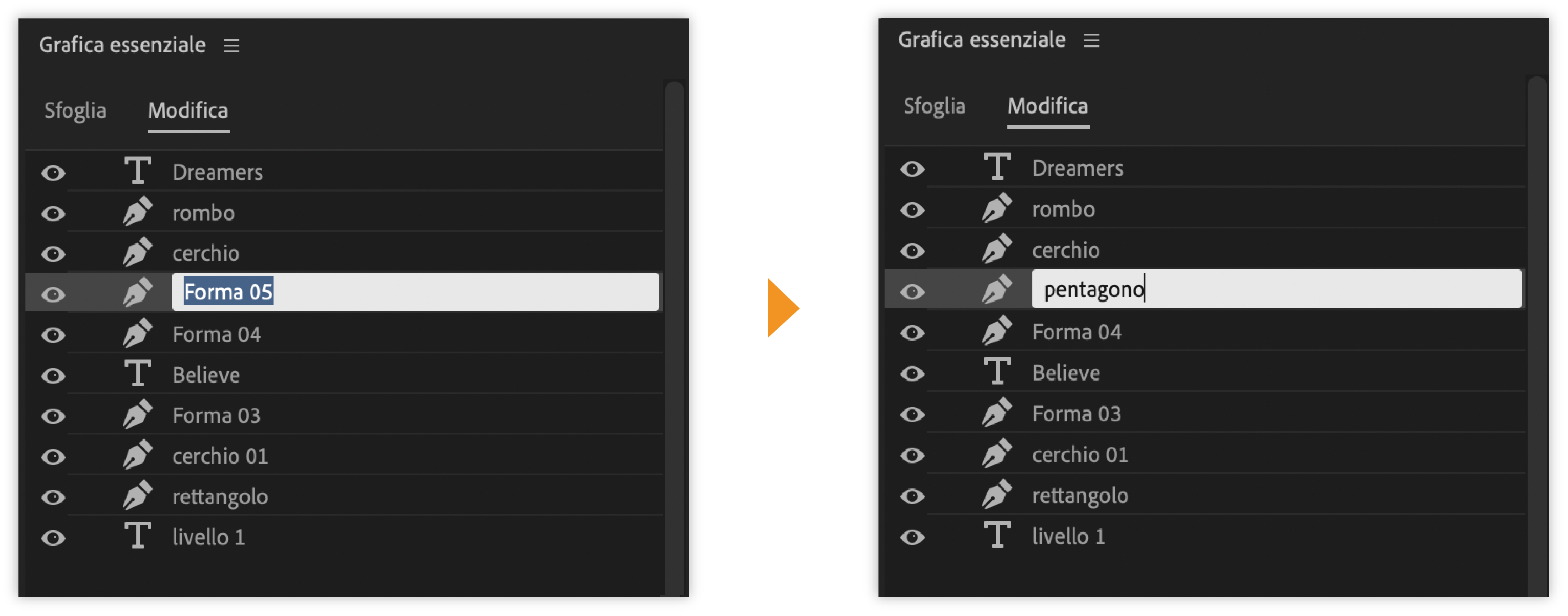 Modifica in linea del nome del livello