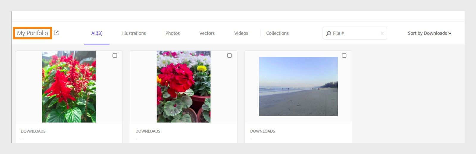 Schermata della dashboard di Adobe Stock che mostra guadagni e tendenze dei download con una sezione Portfolio che visualizza le immagini caricate, tra cui fiori e una scena di spiaggia.