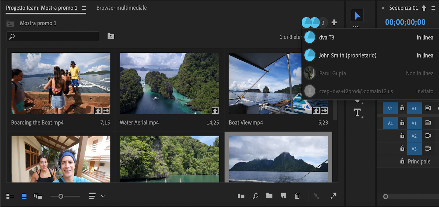 Visualizzare i collaboratori online