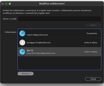 Rimuovere i collaboratori da un progetto team