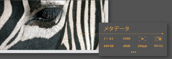 Extensible Metadata Platform Xmp 標準と Adobe Bridge でのメタデータの操作について