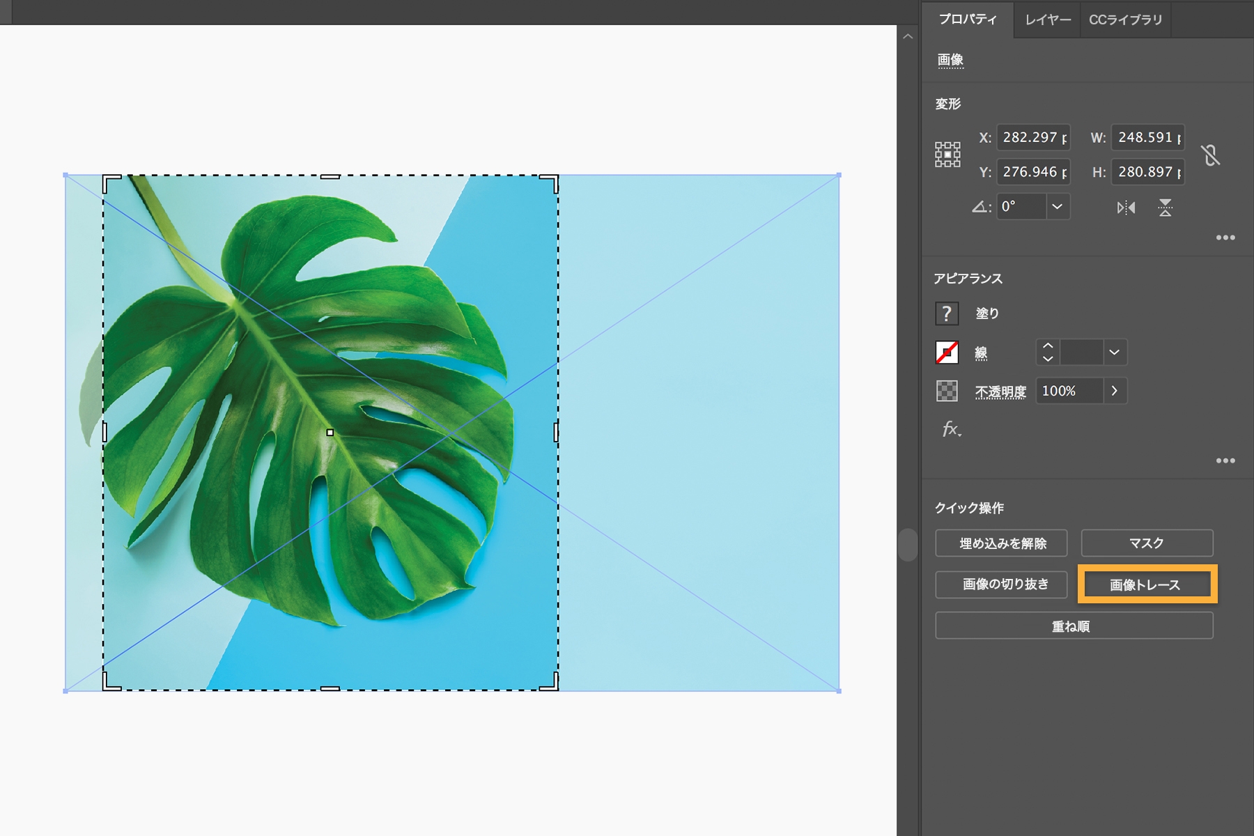 熱帯植物の葉を選択して切り抜きをおこなう。画像／トレースを使ってラスター画像をベクターアートに変換する  