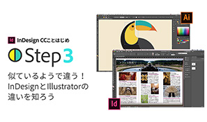 Indesignことはじめstep 3 Illustratorとindesignの違いと使い分け Adobe Indesign チュートリアル