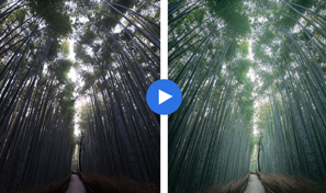 背景をぼかして、写真をより印象的に Adobe Lightroom tutorials
