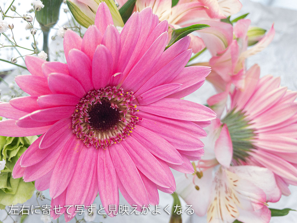 スマホで映える写真を撮る方法とおしゃれな仕上げ方 爽やかな花の写真