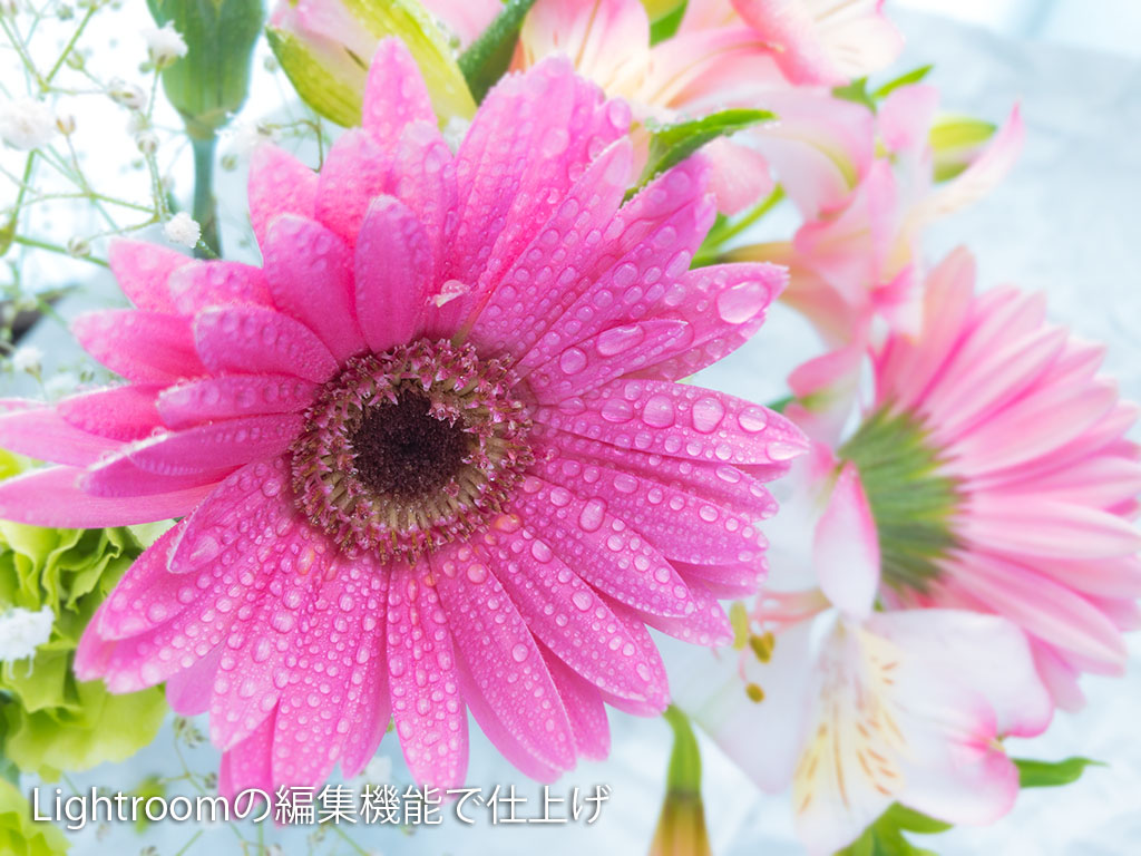 スマホで映える写真を撮る方法とおしゃれな仕上げ方 爽やかな花の写真